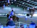 Schooling Show @ Donida Farms