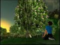 second-chance-trees-american-express-members-project.html