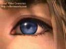 Final Fantasy - The adventure Final Fantasy - The adventure