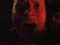 en el fib, durante el concierto de los strokes, en plena ebullici�n, surge la figura de diego y la tonter�a de la noche.