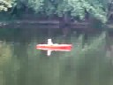 The bigges fish ever