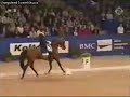 Jumpstyle Pferde Jumpen Jumpstyle Pferde Jumpen