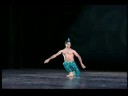 TRIBUTE - many ballet extracts