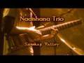 Nadishana Trio - Sanskar Valley (Nadishana - Steve Shehan - Armin Metz)