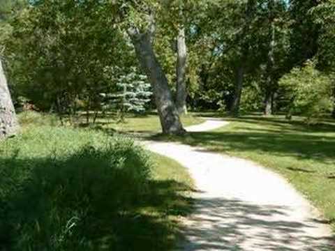 Videos: Walking Meditaton 0 Videos: Walking Meditaton