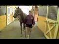 Deerfield, New Hampshire (NH) Equestrian Horse Property for