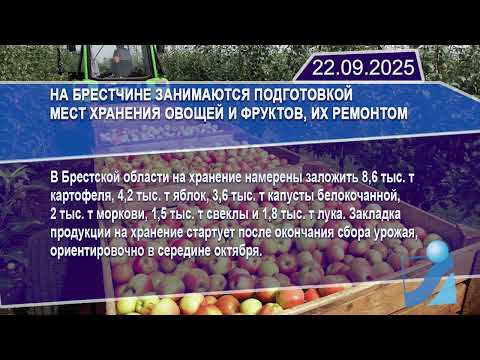 Новостная лента Телеканала Интекс 22.09.25.