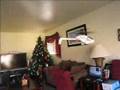 Picco Z Indoor Flight