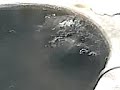 CASERIA DE TORTUGAS