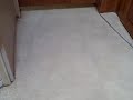 the kittens discover the crack under the door.  there will never be peace again...