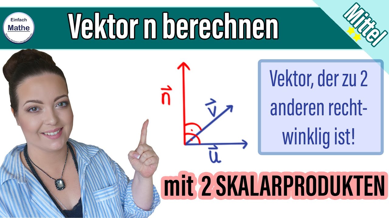 Vektor n mit Skalarprodukten