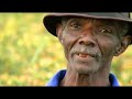 Aji - Fortalecimiento agroindustrial