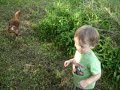 Noah and chicken again Noah and chicken again