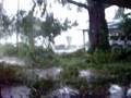 Hurricane Gustov