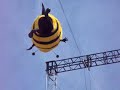 Bee Movie Seinfeld fly back at Cannes film Festival May 2007