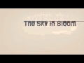 The Sky in Bloom - title sequence concept