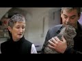 petit film d'introduction sur les actions men�es par la fondation prince laurent.