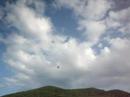 my first sucessful foreward flight with my hawk sport