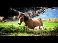 Ireland landscapes 2 Ireland landscapes 2