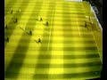 gollasso fifa 07