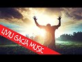 Liviu Gacia - You Raise Me Up [en]