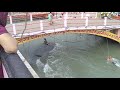 Haridwar Trip Part 2 (Sudhir Verma- Noida) May 2010