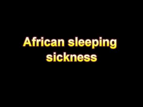 how to treat tsetse fly bites