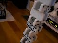 dog outsmarts boy