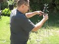 How To Make Mini Trees How To Make Mini Trees
