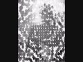 The Drug Song