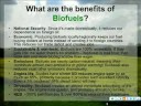 Intro to Biofuels 1 Intro to Biofuels 1