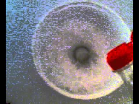 how to unclog scunci steamer