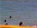 TO BE IN ALGARVE - ALBUFEIRA - MONTECHORO