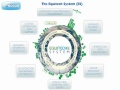 EQUITECH SYSTEM By BCRE8TV Branding & Website Design Company in Bangkok, Thailand & Hong Kong