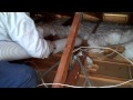 Insulation Removal - Miami, FL - Istueta Roofing