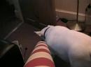 lenny-9-lenny-versus-the-humphreys.html