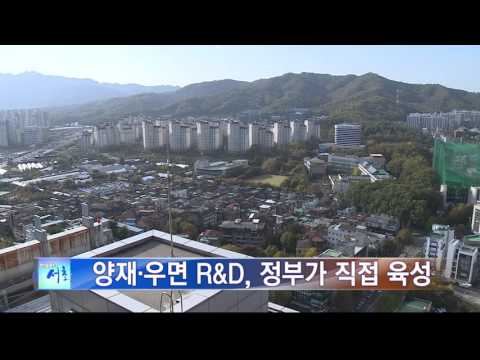 인사이드서초 248회