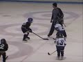 moose v caribou