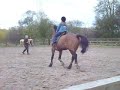 Fenella riding Polo
