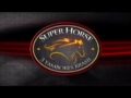 Regras B�sicas Super Horse 3 Tambores Brasil