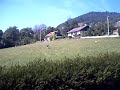 trex 450 trex 450