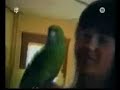 Funny video - animals vs. humans (-;
