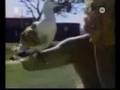 Funny animals (don´t trust them^^) and funny soccer