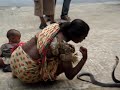 king-cobra-vs-python.html
