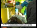 Foto del video