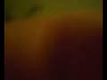 videos de tony and benz homo