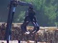 El Pueblo Mapuche y la Invasión Forestal. Parte 1 (de 4) El Pueblo Mapuche y la Invasión Forestal. Parte 1 (de 4)