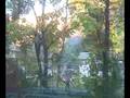 videos de greendot tower III
