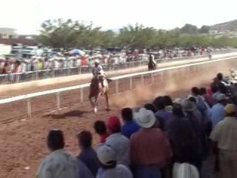 Horse racing in Chihuahua Mexico