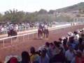 Horse racing in Chihuahua Mexico